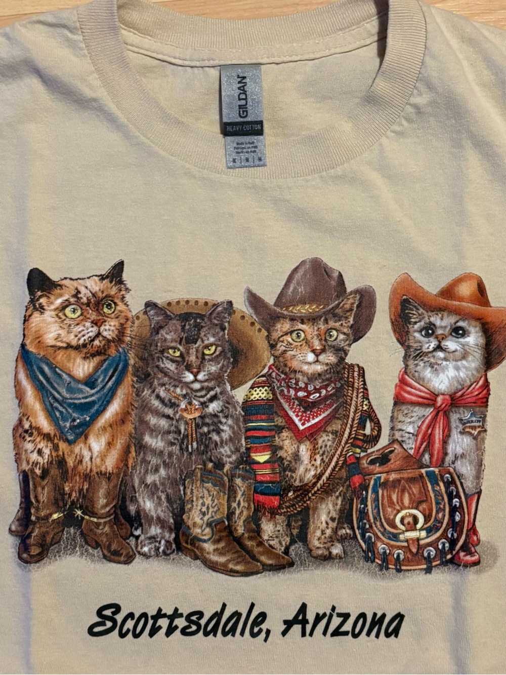 Cat T Shirt Mens Large Cowboy Western Front Back Print AOP Y2K
